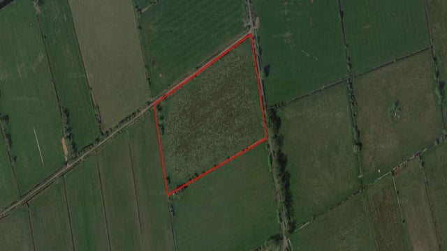 Vegan group buying and repurposing agricultural land across UK