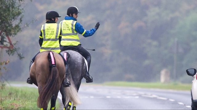 Dorset: Motorists urged to be careful around horses