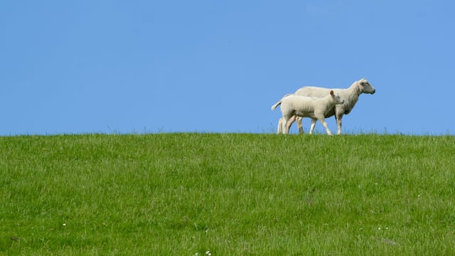Countryside Stewardship application deadline extended