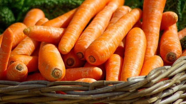 UK must double the land used to grow fruit and vegetables – Soil Association