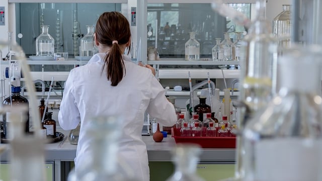 Approval granted for sales of ‘lab-grown chicken’ in US