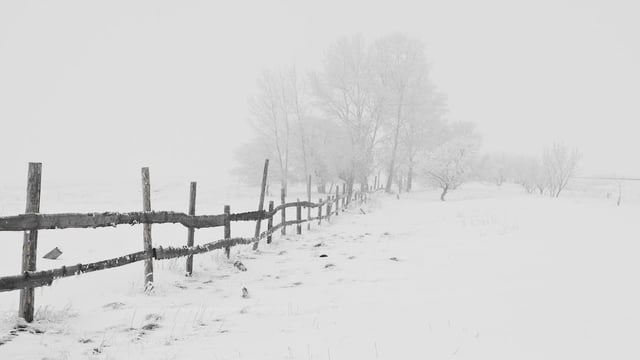 ‘Blizzard conditions’ likely in England, Wales and NI