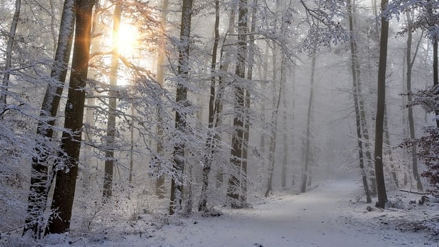 Cold weather alert extended to cover the weekend