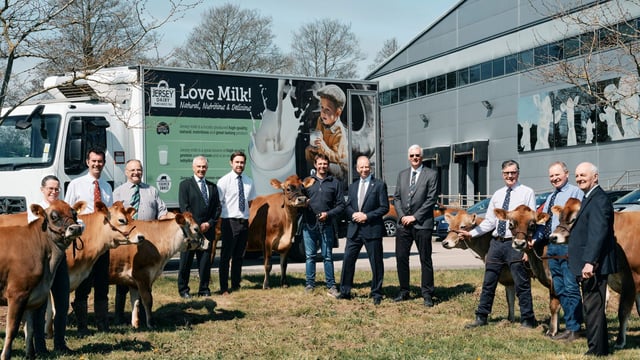 King Charles gifts heifers to Jersey dairy farm after herd loss