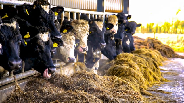 UFU ‘extremely concerned’ about pause in TB testing