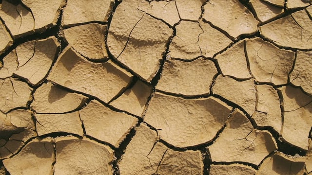 Spain’s ag minister requests EU crisis funds amid severe drought