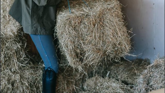Women in agriculture experiencing ‘concerning’ levels of anxiety