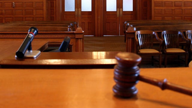 Haulier convicted of transporting unfit animal