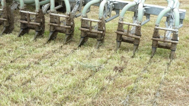 Ammonia emissions still on the rise in NI