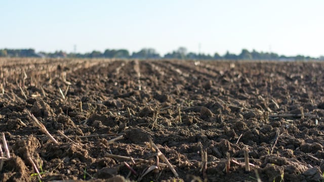 ABACO partners with retailers to support farmers and their soil