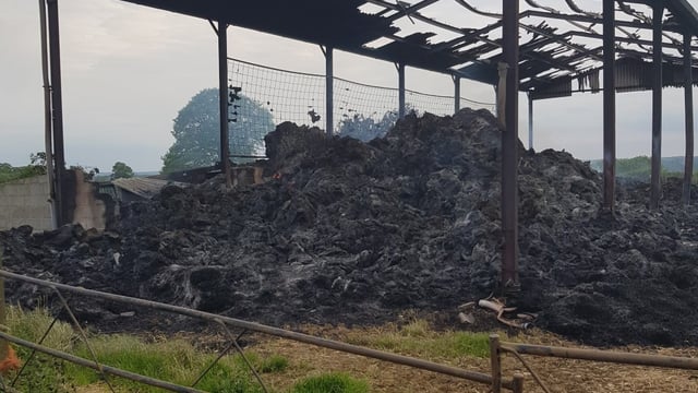 Police launch arson investigation into barn fire