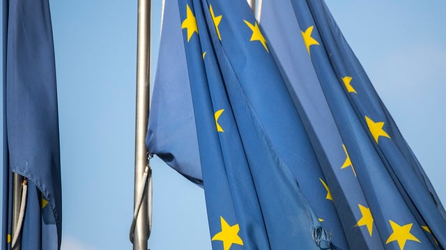 MEPS agree to ‘simplify’ rules for British goods entering NI