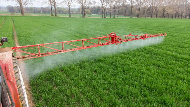 Net blotch confirmed in winter barley crops