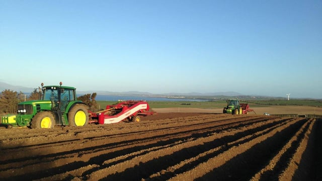 Agri-food Brexit impact: ‘Even printer ink was taking 6 weeks’