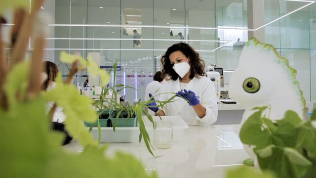 UK focus farms used to highlight impacts of lab-grown meat