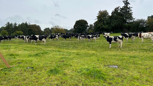 Farmers north and south ‘concerned’ about climate targets