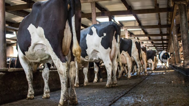 UFU raises major concerns over TB budget cuts