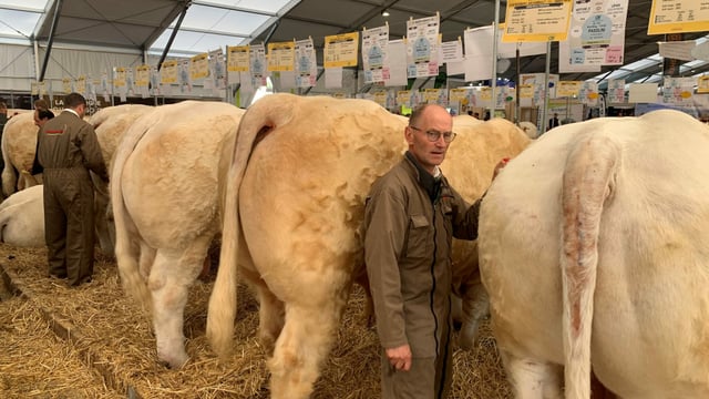 Dates set for 2023 Sommet de l’Élevage livestock show