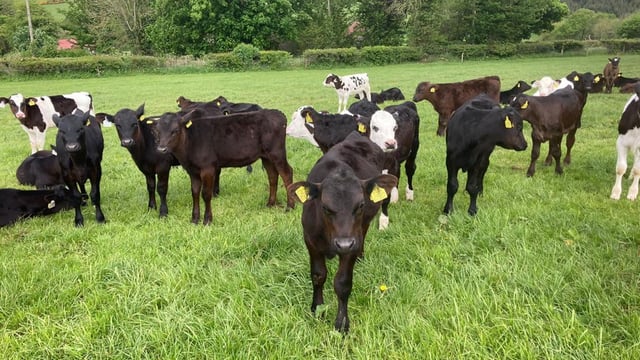 Are faecal egg counts aiding the spread of parasites on farms?