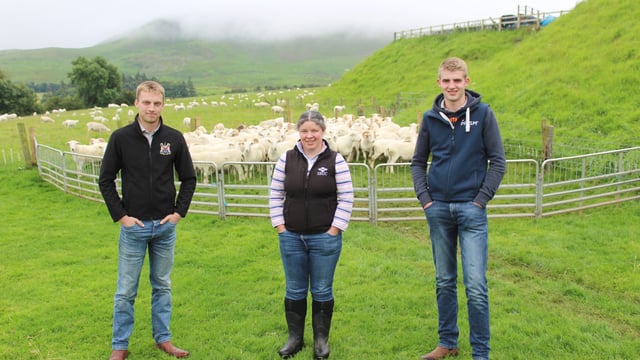 Genomics will ‘revolutionise’ performance in sheep sector