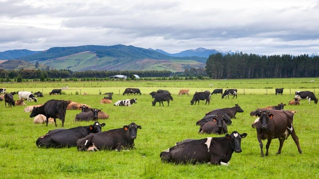 Agriculture to be exempt from New Zealand emissions scheme