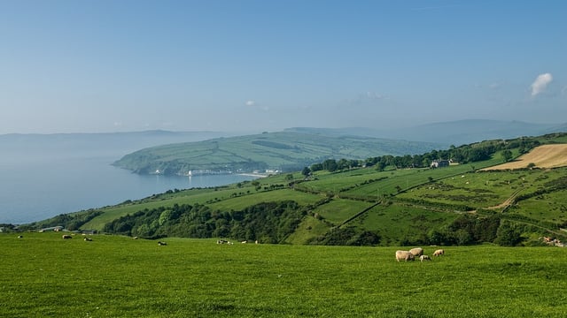 DAERA seeks public input on NI emissions targets