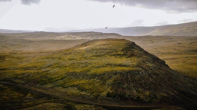 RSPB apologises for calling PM and Thérèse Coffey ‘liars’