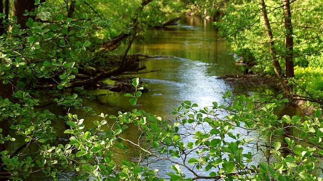 Manure management plan for River Wye will ‘lead to problems elsewhere’