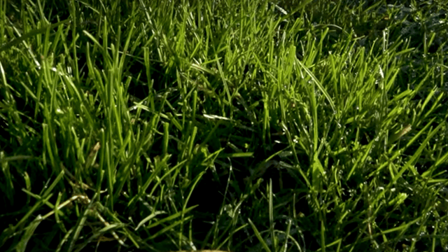 Hampshire farm to reveal impacts of soil biology on farm performance