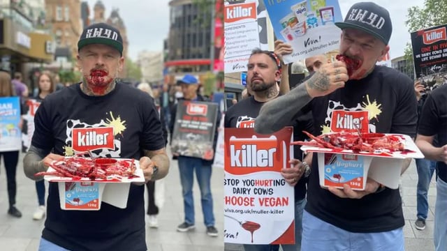ASA bans vegan ‘anti-dairy’ ad for offence and distress
