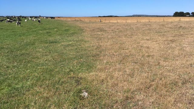 Australian farmers fear ‘dud’ trade deal with EU
