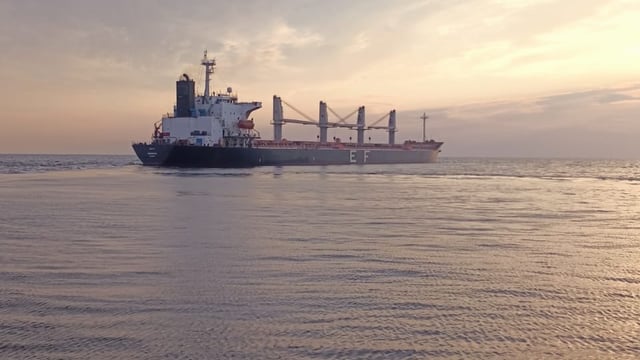 Further vessels to export Ukrainian grain via Black Sea