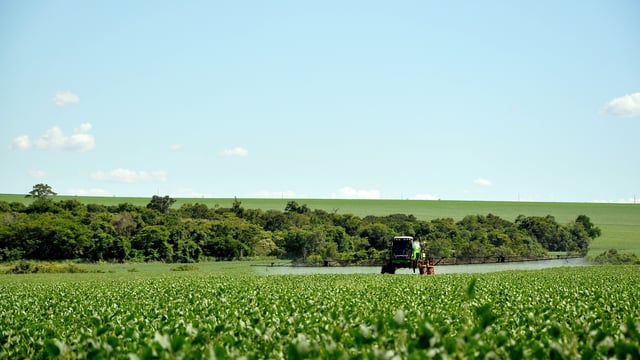 OECD: $851bn government support for agriculture during pandemic