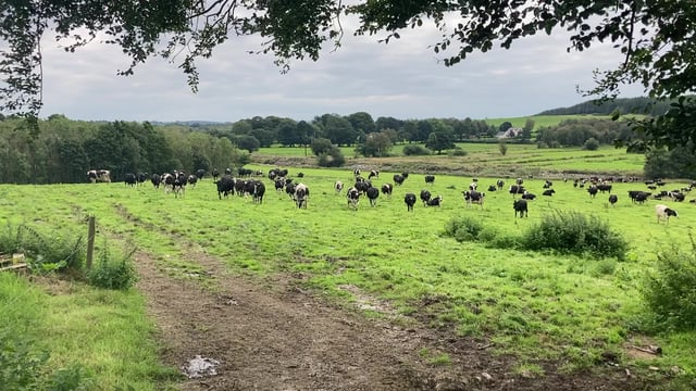 Reducing livestock emissions while improving food security