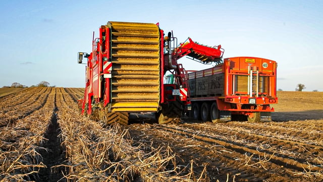 High-risk crops can lead to pollution and flooding – Environment Agency