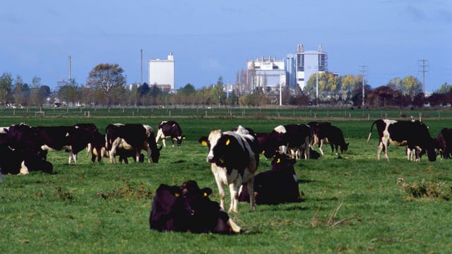 Fonterra aims for 30% on-farm emissions cut by 2030