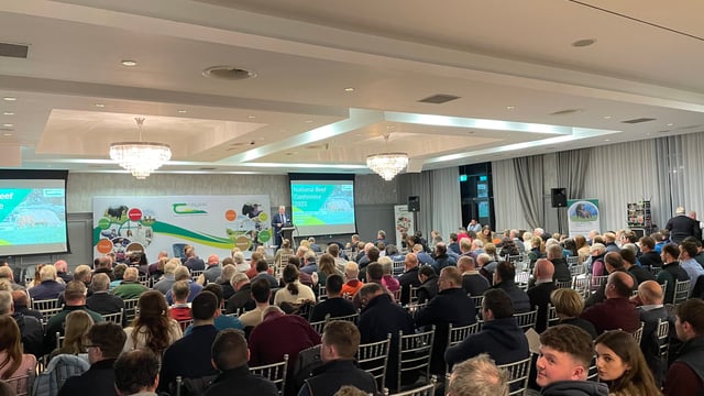 Irish/UK beef price differential explained at beef conference