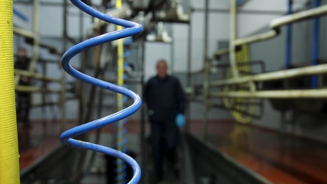 Drying-off: Selecting the correct dates for cows