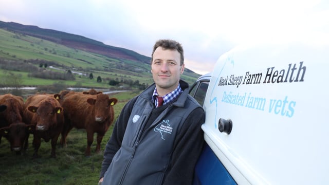 Bluetongue hotline launched for farmers and NFU