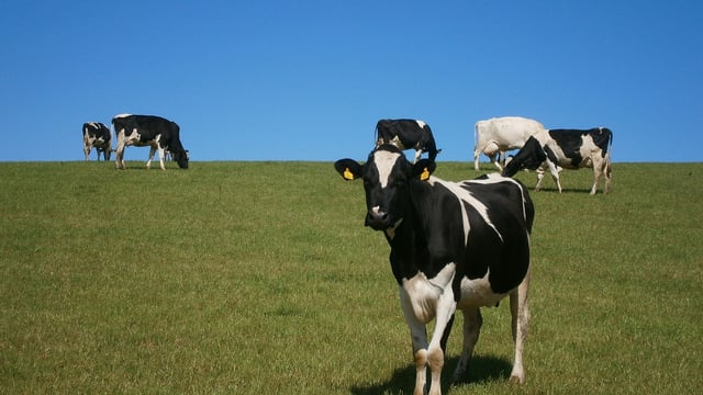 EU Dairy Symposium: Farming and climate action are in ‘comfortable co-existence’