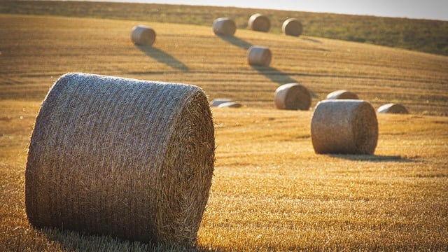 Large baling contractors at risk of HMRC fines due to plastic packaging tax