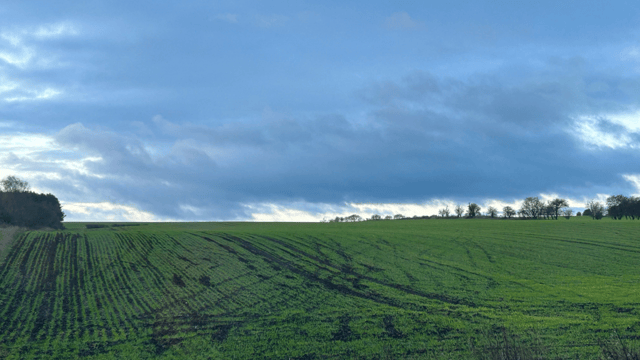 Nottinghamshire farm suffers ‘thousands of pounds of damage’ to crops from quads