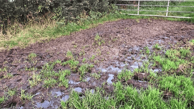 UFU: 2023 was a ‘turbulent year’ for farmers