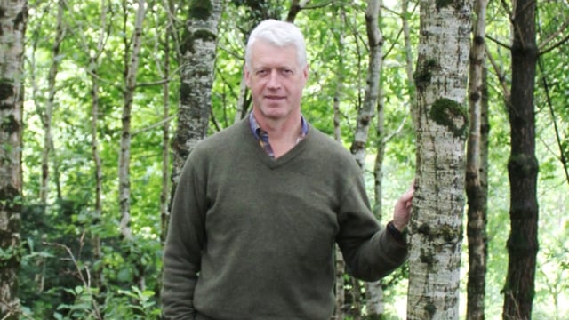 Current tree planting season in NI is potential ‘write-off’