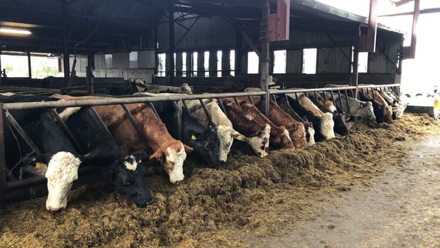 DAERA announces £1.6m in funding for agri-food projects