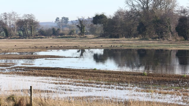 Govt grants £57m in flood relief payments to farmers  