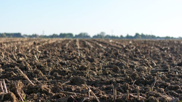 Soil health training for Co. Down farmers to start next week
