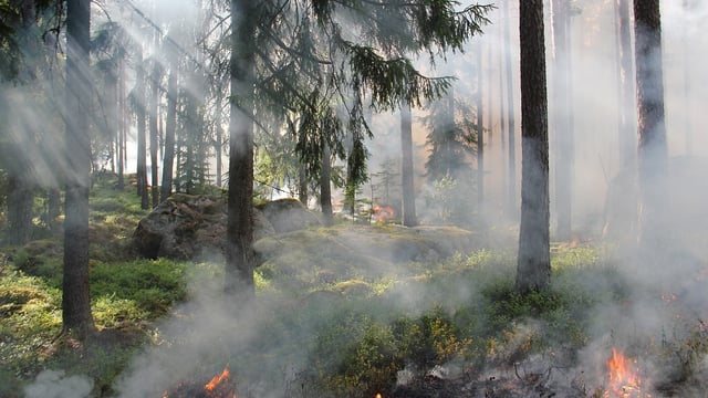 Burnley farmer faces £1,000 fine for illegal burning