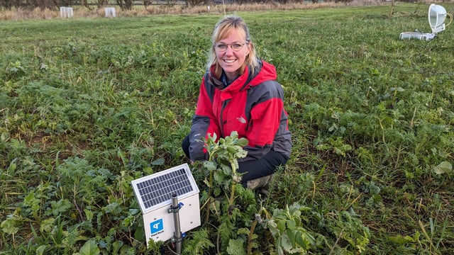 Regenerative agriculture study has ‘fascinating’ findings on benefits