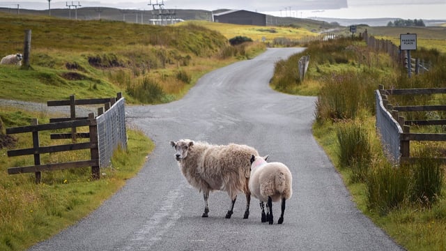 AECS awarded more than £7m to rural businesses in 2023